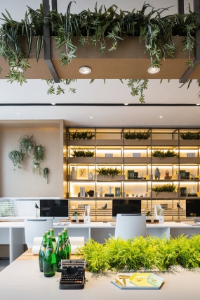 办公区装修设计效果图,办公区设计图