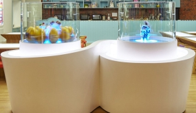 500平培训中心空间布局实景图,培训中心空间布局实景图