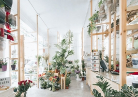 花店装修设计装修布局图