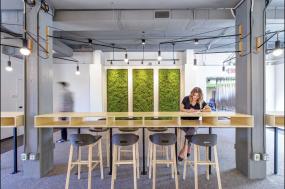 办公室家具风水植物摆放效果图