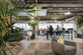 小办公室办公桌植物摆放图片