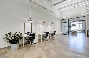 现代办公室风格盆栽植物图片