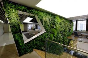 简约中式风格办公室办公桌植物装饰大全