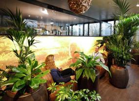 高端投资公司办公室装修效果图