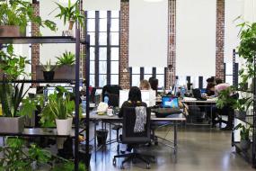 投资公司办公室室内装修实景图