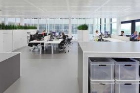 体育运动公司办公室办装修图片