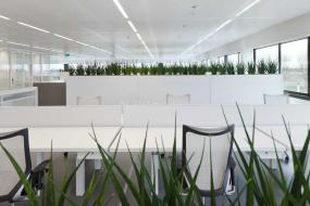 2018年体育运动公司办公室装修效果图