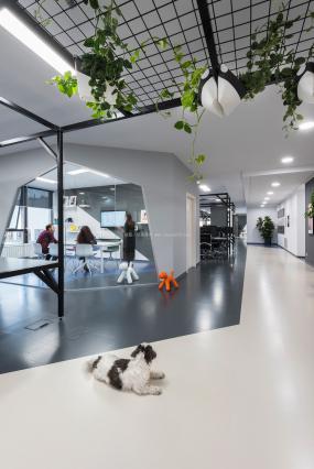 最新专业互联网公司办公室室内装修设计方案