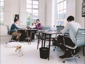 高档办公室室内设计图片赏析