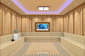 专业汗蒸房装修设计图片