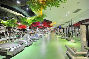 高端健身房设计装修图片