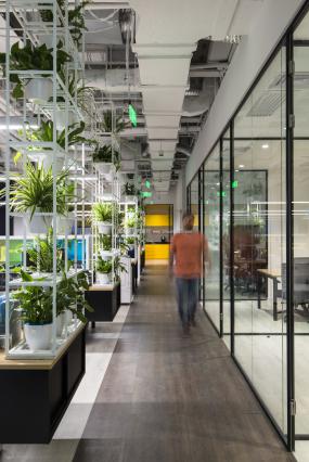 2018办公室多层实木地板装修效果图