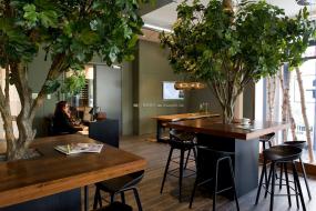 办公室桦木地板设计装修效果图片大全