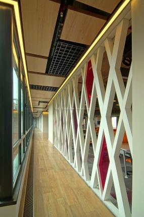 办公室桦木地板图片装修