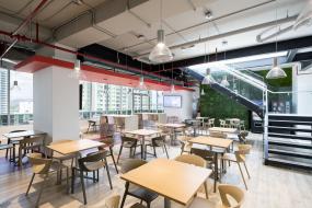 办公室桦木地板装修实景图片