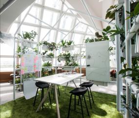 最新办公室植物装修设计效果图