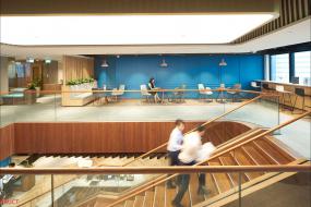 办公室植物装饰设计效果图片