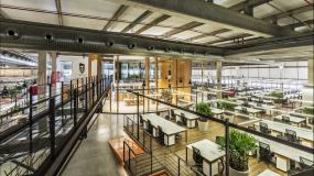 最新办公室植物设计装修图片