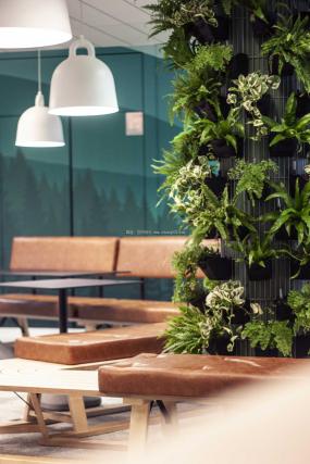 办公室植物装修设计效果图片库