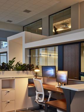 办公室植物装饰效果图