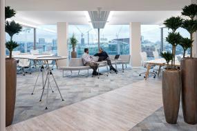 办公室植物设计装饰效果图片