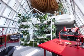 办公室植物装修设计效果图