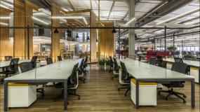 办公室植物装修设计效果图片