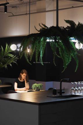 办公室绿植摆放设计装修效果图