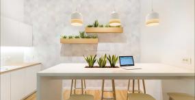 办公室绿植摆放装修效果图片