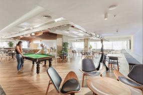 办公室绿植摆放设计装潢图片