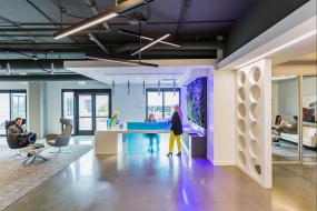 办公室风水植物装修实景图图片