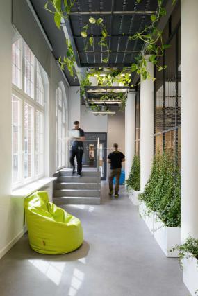 最新办公室风水植物设计装饰效果图片