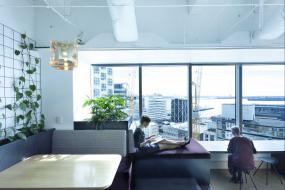 办公室风水植物装潢图片