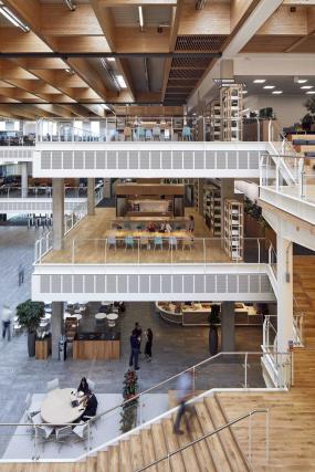 办公室风水植物装饰图片