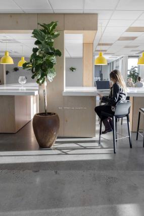 办公室盆栽装修效果图