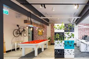 办公室风水植物装修图片