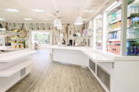 特色办公室装修装潢效果图