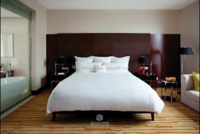 朗廷酒店装潢设计效果图片