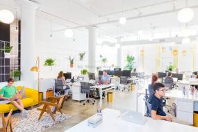 服务型商务办公室装修实物图片