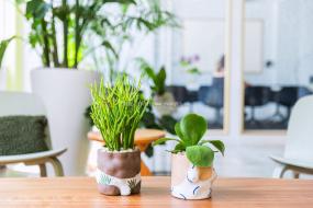 服务型商务办公室装修实景图片