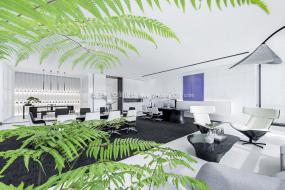 投资管理公司设计装饰效果图片