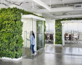 广告传媒公司装修实景图片