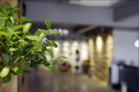 上海男子养生会所装潢设计效果图片