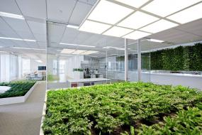 长沙办公室装修图片