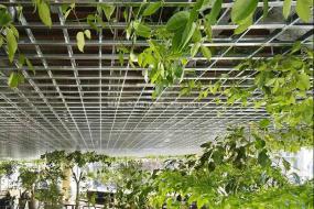 长方形办公室布局图