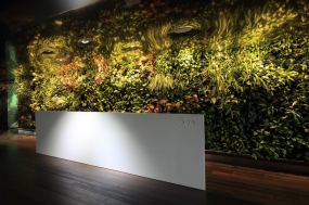 党建办公室设计创意