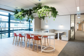 办公室装修风格白灰图片